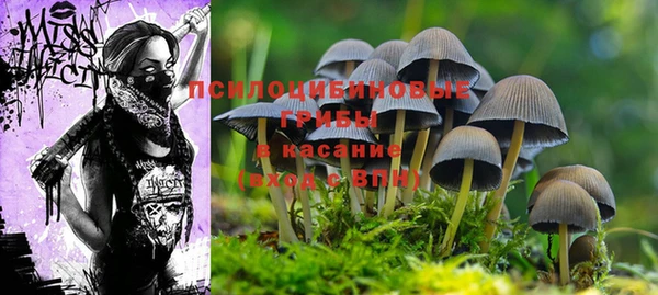 каннабис Арсеньев